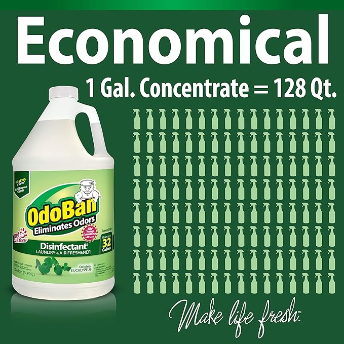 OdoBan  -  Disinfectant Concentrate and Odor Eliminator, Eucalyptus Scent, 4 Gallons